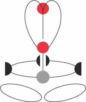 GT XT -Full body harness