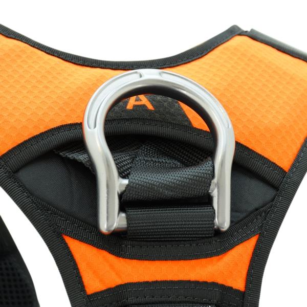 X-FIVE Harness