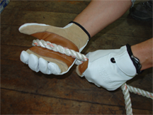 Rappel Gloves