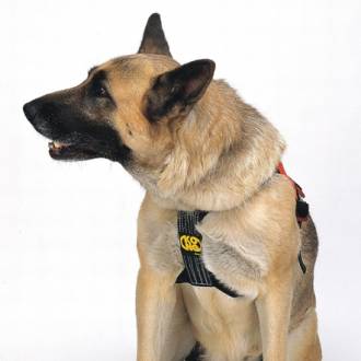 SMEUS Dog Harness