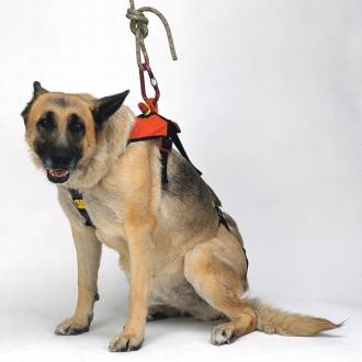 SMEUS Dog Harness